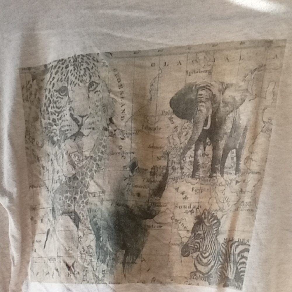 Banana Republic White T-Shirt